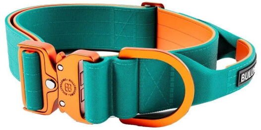 Bullybillows Bullybillow Combat Hundehalsbånd Med Håndtak Turkis & Oransje 5 cm (S)