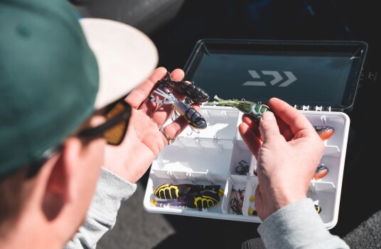Daiwa D Box Shallow