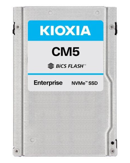 Kioxia CM5-R Series KCM51RUG1T92 - SSD - 1920 GB - PCIe 3.0 x4 (NVMe)