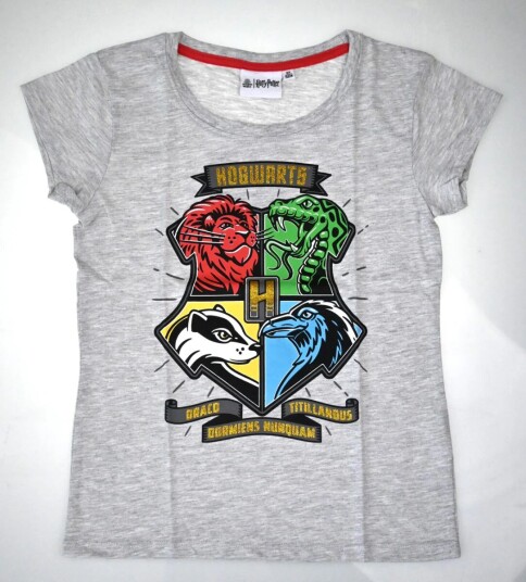 Harry Potter T-skjorte Hogwarts Houses - 128 / 8 år - Barn - 60% bomull/40% polyester