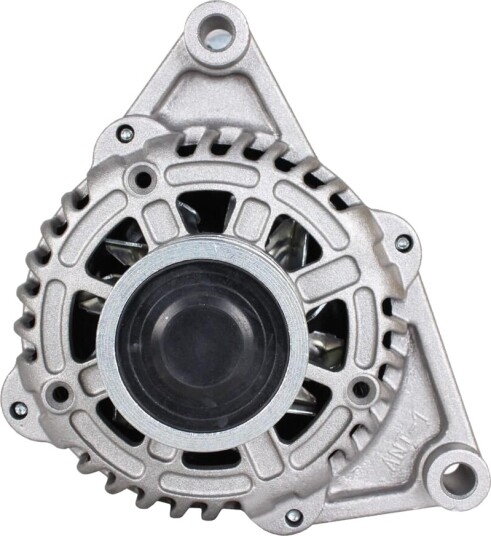 Dynamo WALKER WAL00448