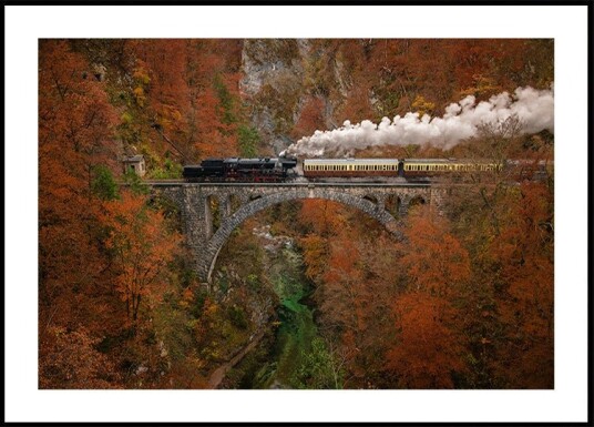 Museum train Poster Plakat / 100x150cm