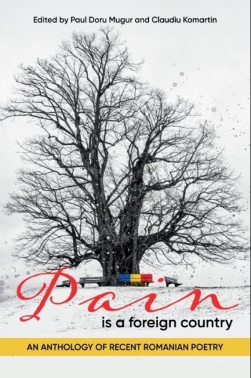 Pain Is a Foreign Country Pain Is a Foreign Country