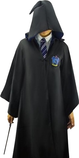Pan Vision Ravenclaw Kappe Pan Vision Ravenclaw Kappe