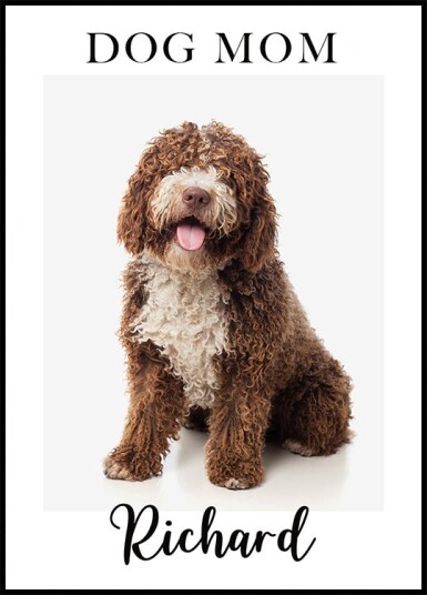 Personalized Pet Portrait Plakat Plakat / 70x100cm Personalized Pet Portrait Plakat Plakat / 70x100cm