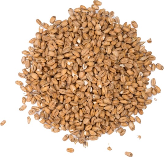 Castle Malting Château Spelt 1 kg Knust 3-7 EBC Castle malting
