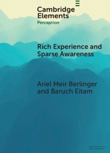 Rich Experience and Sparse Awareness