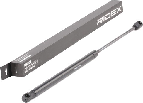 RIDEX 219G0675 Baklukedemper RIDEX 219G0675 Baklukedemper