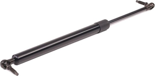 RIDEX 219G0222 Baklukedemper