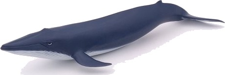 Papo Blåhvalkalv 3 År Marint Liv Blå Pvc