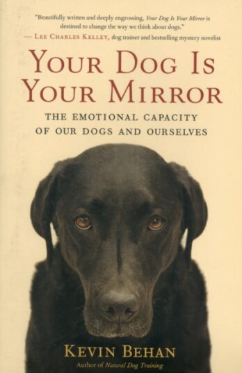 Your Dog Is Your Mirror Av Kevin Behan