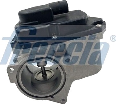 EGR Ventil FRECCIA EGR12-123