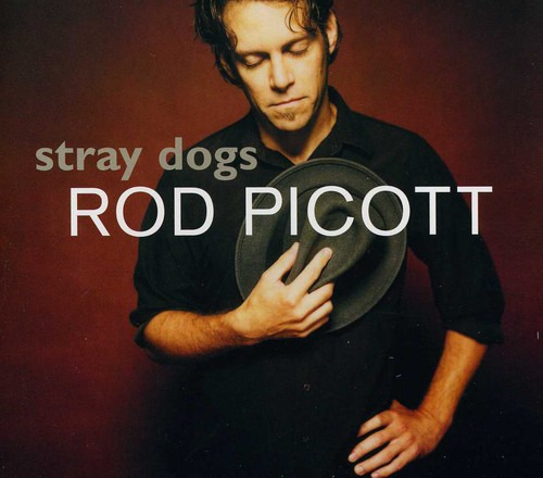 Rod Picott Stray Dogs CD