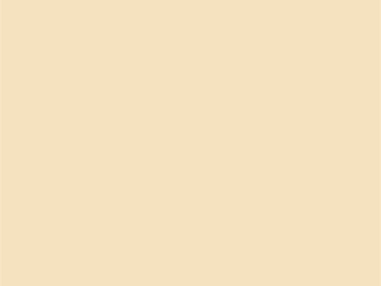 Bakgrunn Papir Kalv - 2.75x11 m