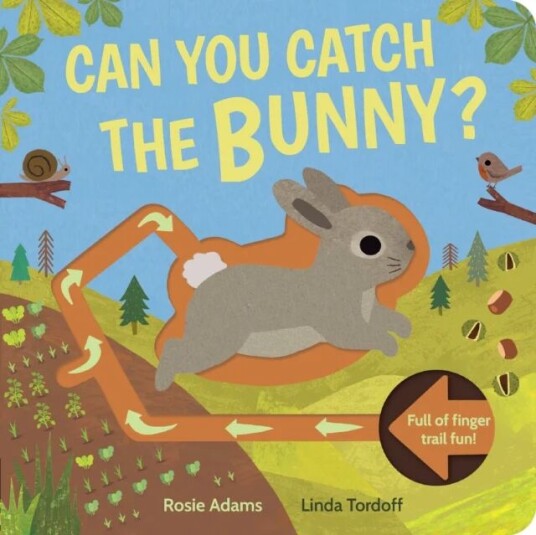 Can You Catch The Bunny? Av Rosie Adams, Linda Tordoff