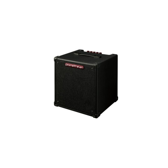 Ibanez P20 Bassforsterker Combo Ibanez P20 Bassforsterker Combo