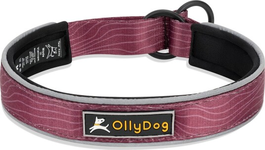 Ollydog Martingale Reflective Comfort Collar Rosewood S Rosewood