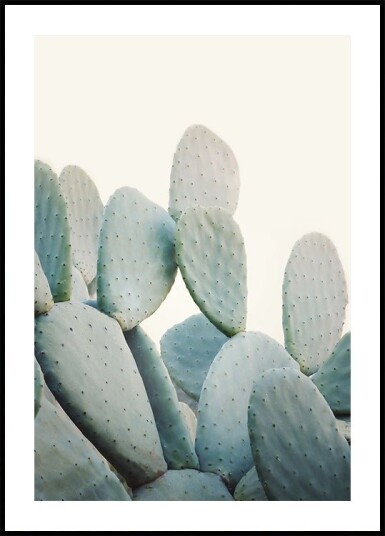 Pastel Cacti Plakat Plakat / 100x150cm Pastel Cacti Plakat Plakat / 100x150cm