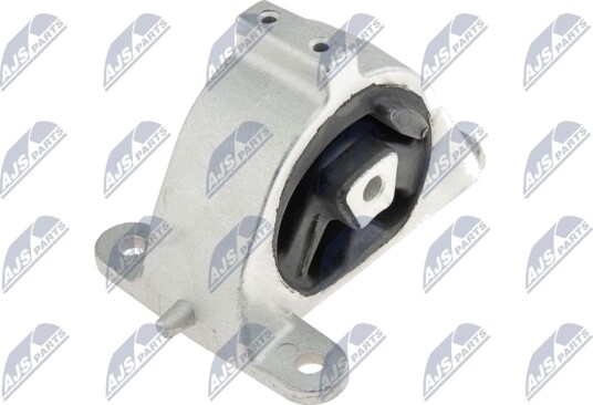 NTY ZPS CH 002 Motorfeste