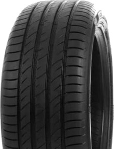 Delinte DS2 205/60R16 92V