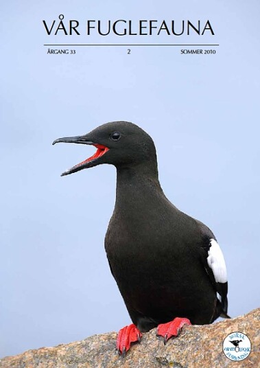 Norsk Ornitologisk Forening Vår Fuglefauna   2010 2 årgang 33