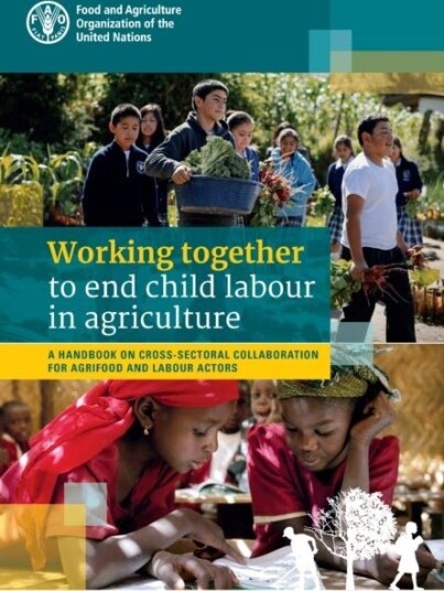 Working Together to End Child Labour in Agriculture