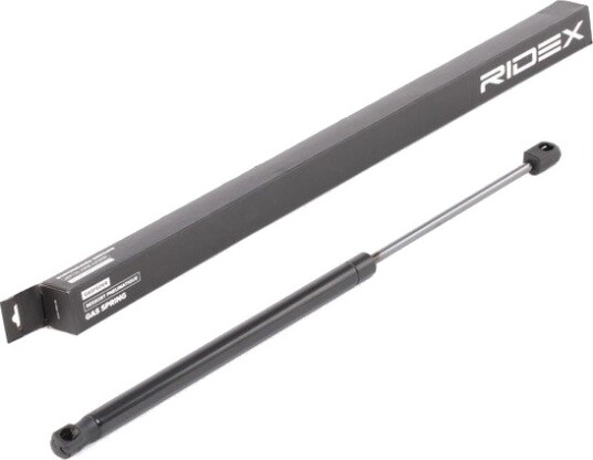 RIDEX 219G0614 Baklukedemper
