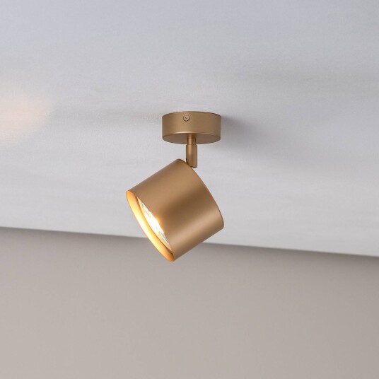 Argon Downlight Chloe justerbar 1 lyskilde gull