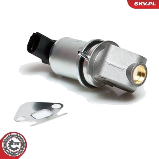 EGR-ventil ESEN SKV 14SKV007