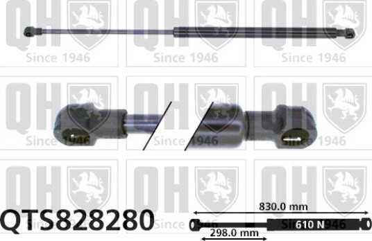 QUINTON HAZELL QTS828280 Baklukedemper