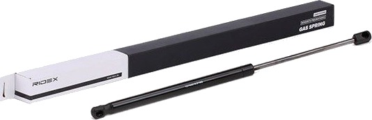 RIDEX 219G0707 Baklukedemper