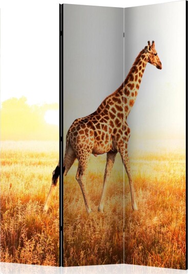 Kadira Rumsavdelare 135x172 cm VALUE_MISSING_1 -