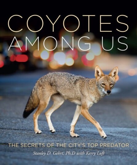 Living With Coyotes Understanding the Ghost Dogs of Urban America Living With Coyotes Understanding the Ghost Dogs of Urban America