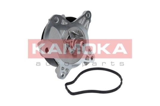KAMOKA T0262 Vannpumpe