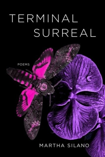 Terminal Surreal Terminal Surreal
