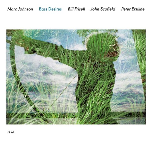 Marc Johnson Bass Desires Touchstones Series CD