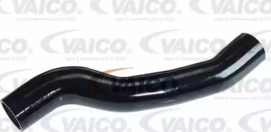 VAICO V25 0952 Ladeluftslange