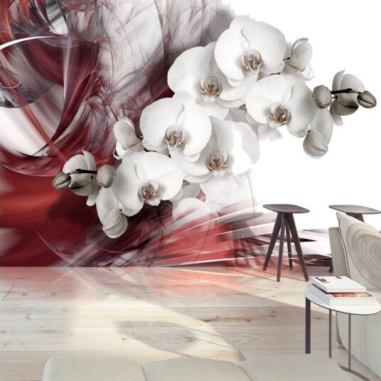 Fototapet Orchid In Red 400x280 - Artgeist sp. z o. o.
