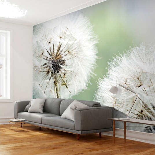 Fototapet Two Dandelions 250x193 - Artgeist sp. z o. o.