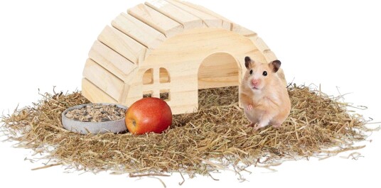 Rxs Hamsterhus I Tre