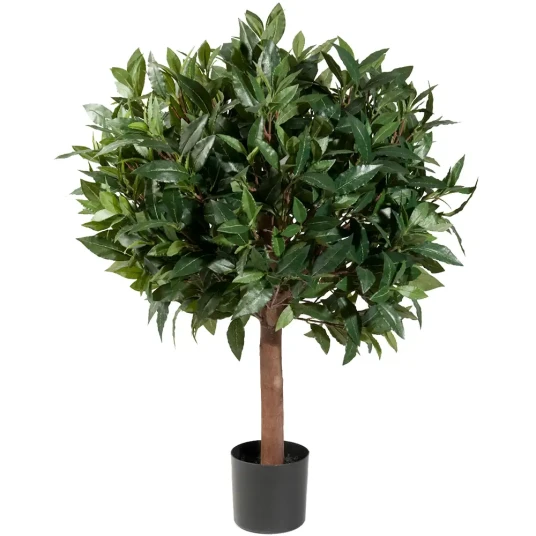 Mr Plant Lagerbladtre 220 cm Mr Plant Lagerbladtre 220 cm