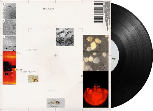 Simon Polygonia Popp Apiformes Vinyl Simon Polygonia Popp Apiformes Vinyl