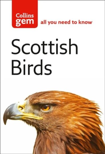 Scottish Birds Av Valerie Thom