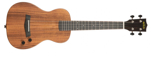 Fender