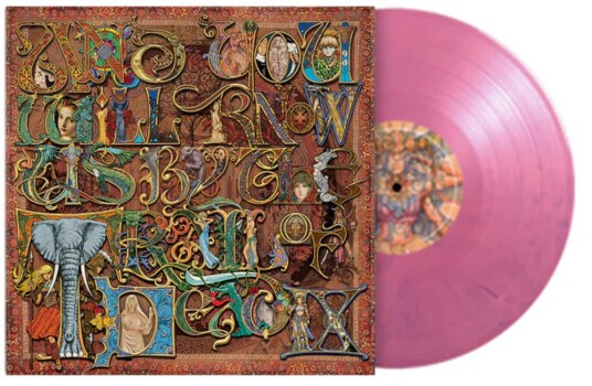 And You Will Know Us By The Trail Of Dead  IX  LP/Vinyl