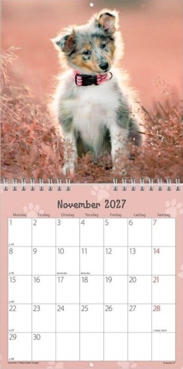 Mayland Vgkalender mini Hundehvalpe 2027