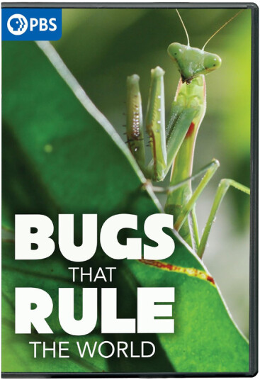 Bugs That Rule the World DVD