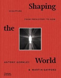 Shaping The World Av Antony Gormley, Martin Gayford