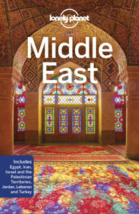 Lonely Planet Middle East Av Lonely Planet, Anthony Ham, Paul Clammer, Orlando Crowcroft, Mark Elliott, Anita Isalska, Jessica Lee, Virginia Maxwell,