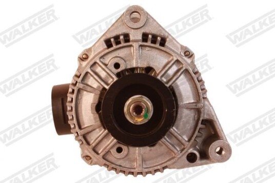 Dynamo WALKER WAL02466